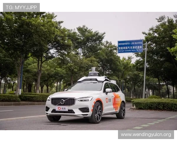 问鼎网址登录线路故障排查与优化指南确保用户顺畅登录体验