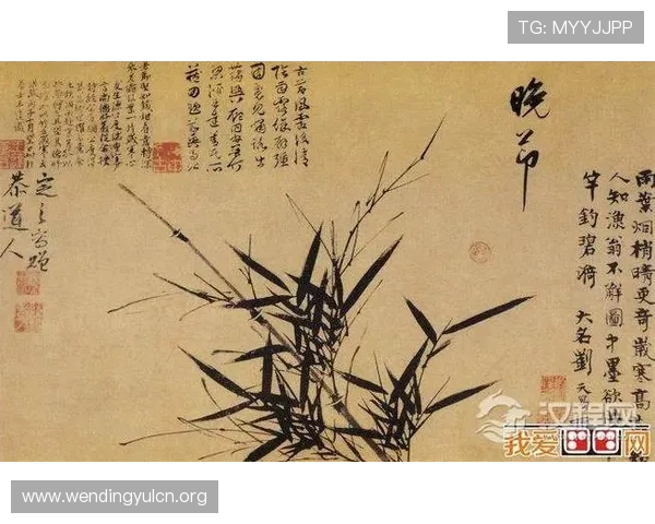 问鼎手机娱乐app:最新版本功能介绍与使用技巧全面解析 问鼎手机娱乐app:最新版本功能介绍与使用技巧全面解析