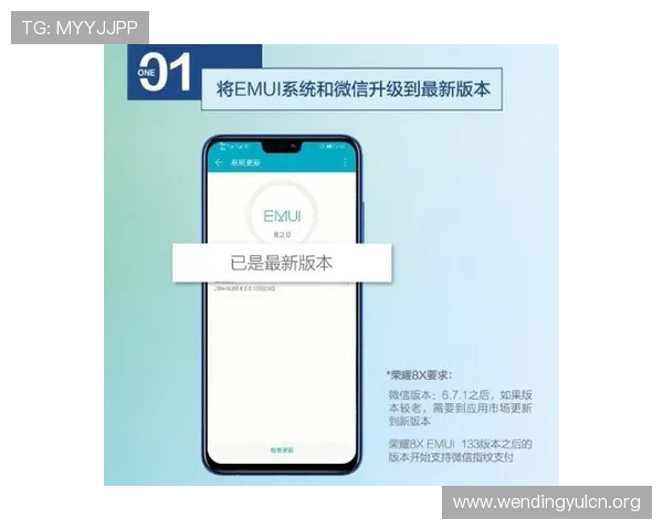 问鼎旗舰厅下载官网安全保障措施，确保玩家下载过程中的信息安全与账号安全
