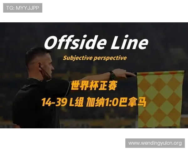 加纳与巴拿马L组比赛现场气氛与球迷支持情况全景报道